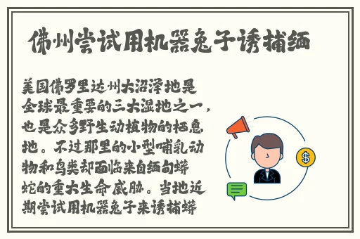 白洁双腿打并蹄莲